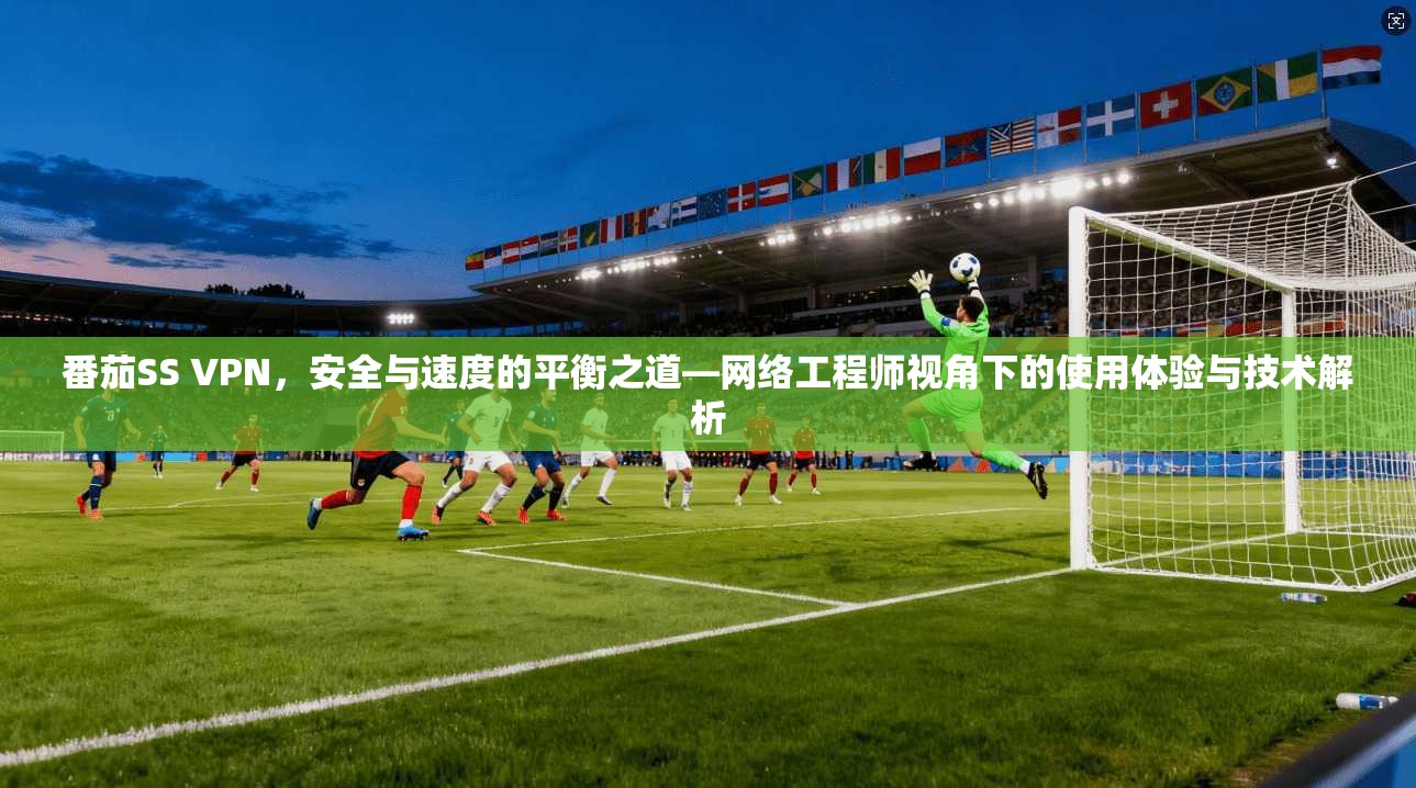 番茄SS VPN，安全与速度的平衡之道—网络工程师视角下的使用体验与技术解析