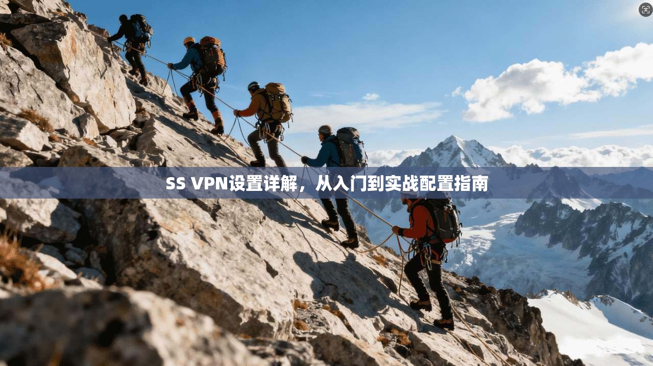 SS VPN设置详解,从入门到实战配置指南