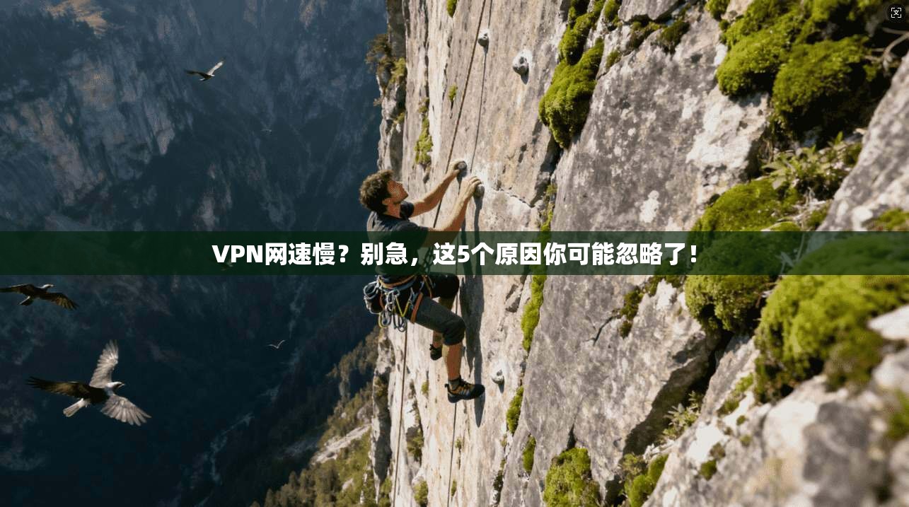 VPN网速慢？别急，这5个原因你可能忽略了！