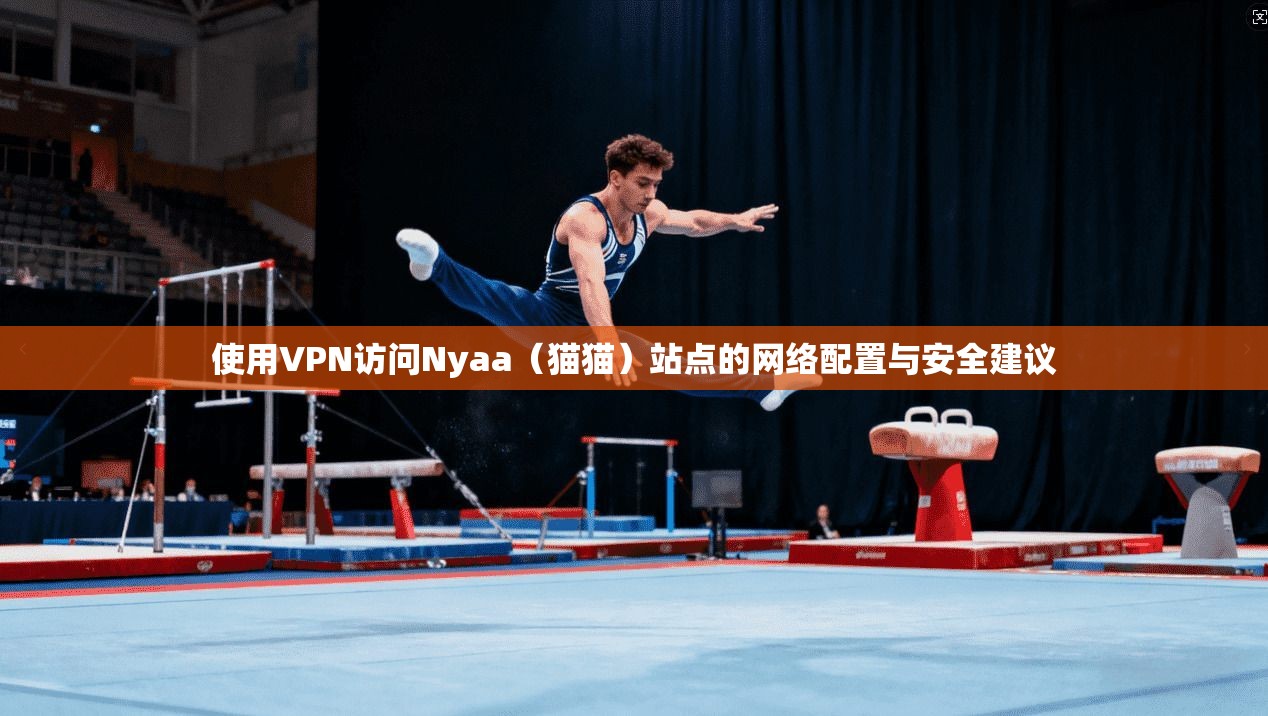 使用VPN访问Nyaa（猫猫）站点的网络配置与安全建议