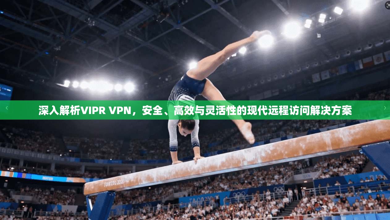 深入解析VIPR VPN,安全、高效与灵活性的现代远程访问解决方案