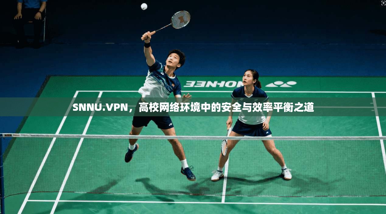 SNNU.VPN，高校网络环境中的安全与效率平衡之道