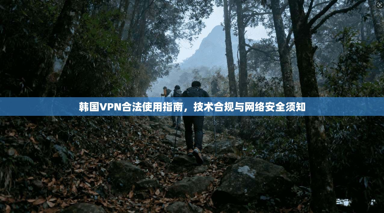 韩国VPN合法使用指南，技术合规与网络安全须知