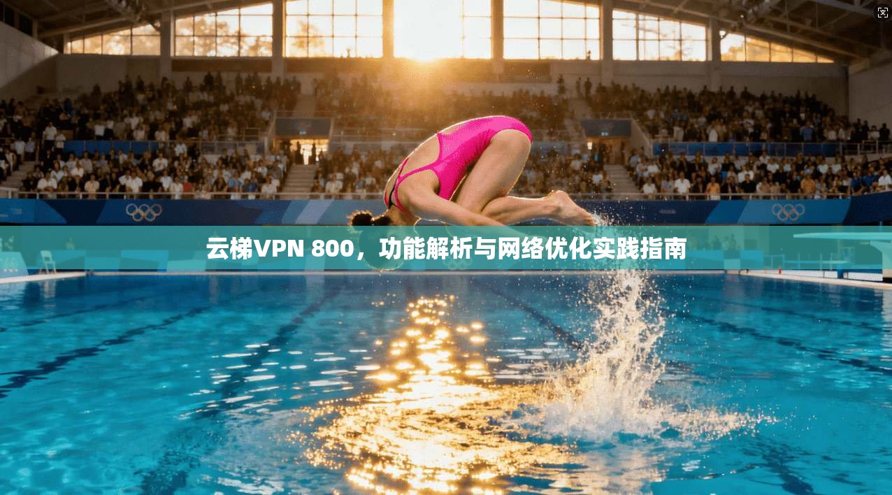 云梯VPN 800，功能解析与网络优化实践指南