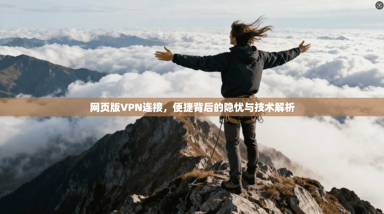 网页版VPN连接,便捷背后的隐忧与技术解析