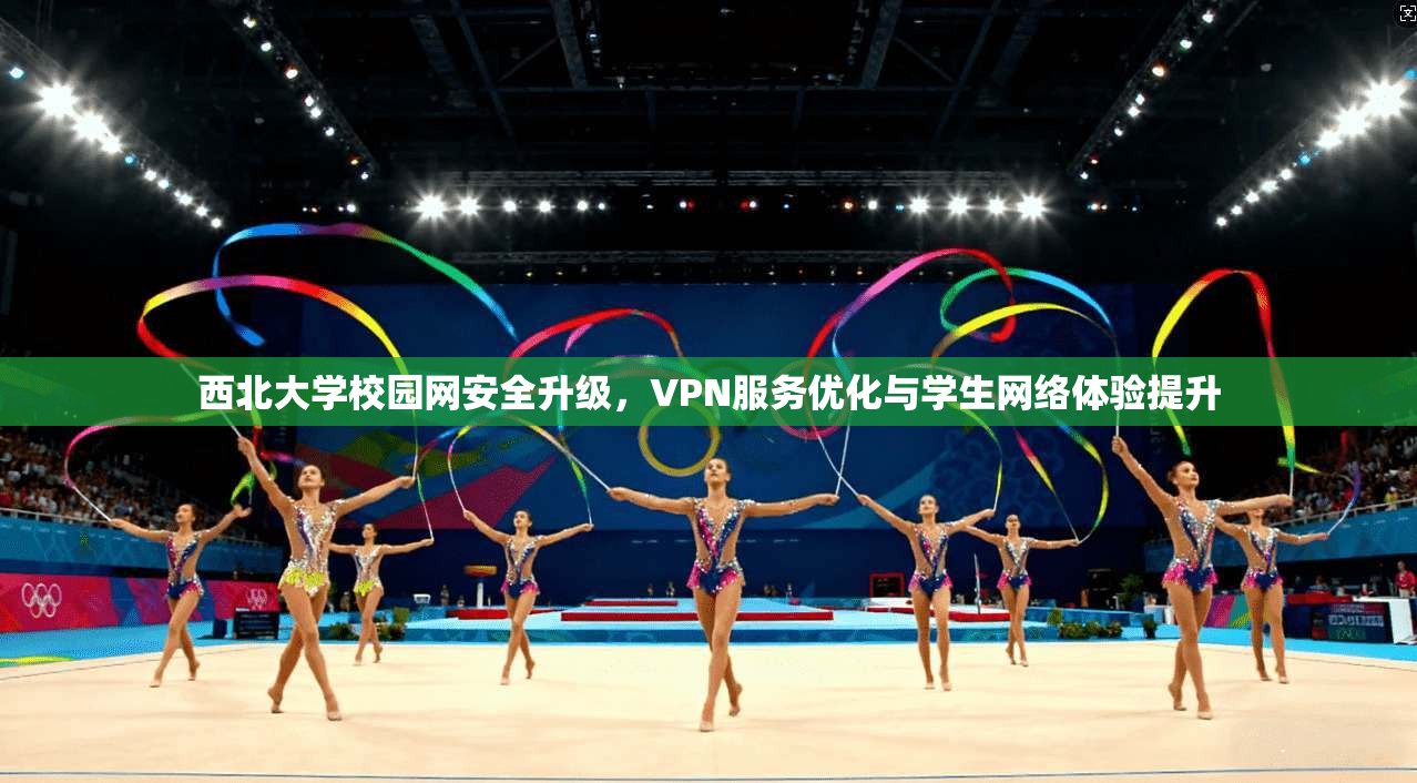 西北大学校园网安全升级，VPN服务优化与学生网络体验提升