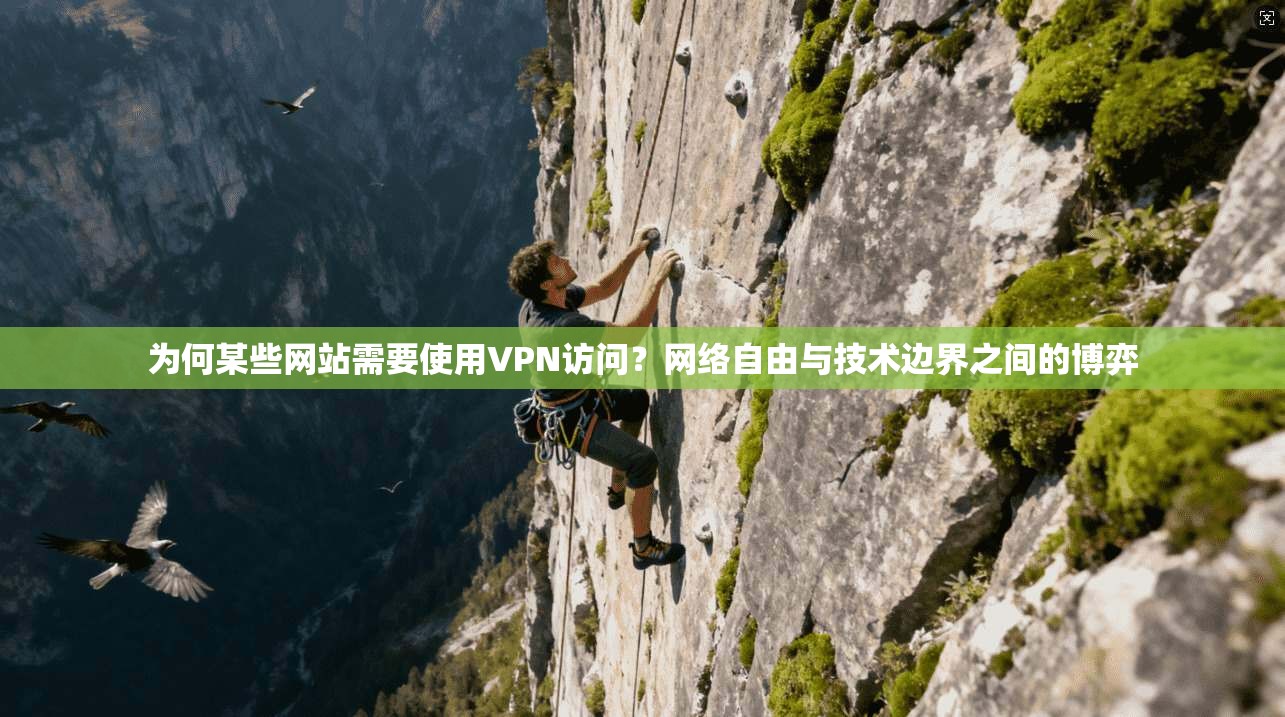为何某些网站需要使用VPN访问？网络自由与技术边界之间的博弈