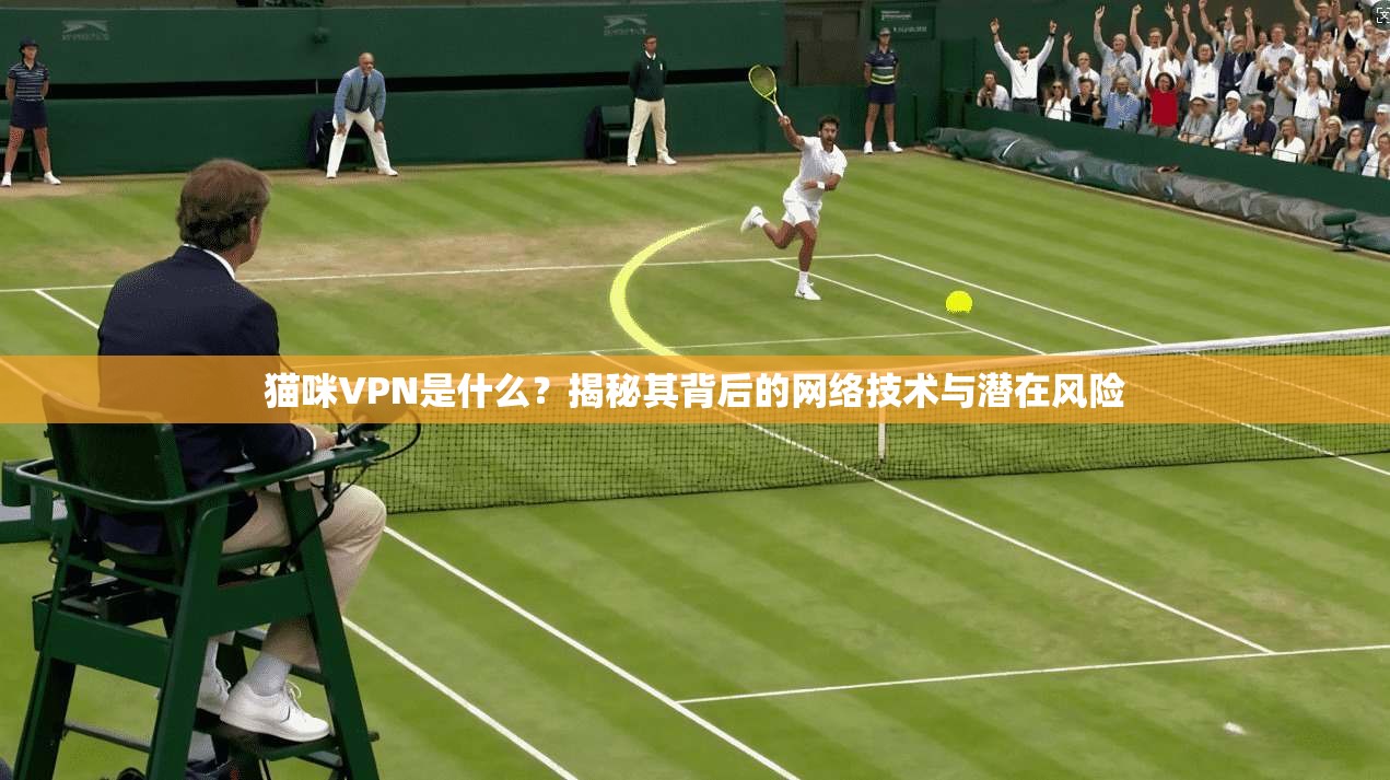 猫咪VPN是什么？揭秘其背后的网络技术与潜在风险