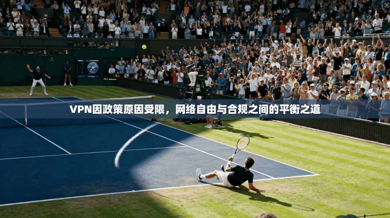 VPN因政策原因受限，网络自由与合规之间的平衡之道