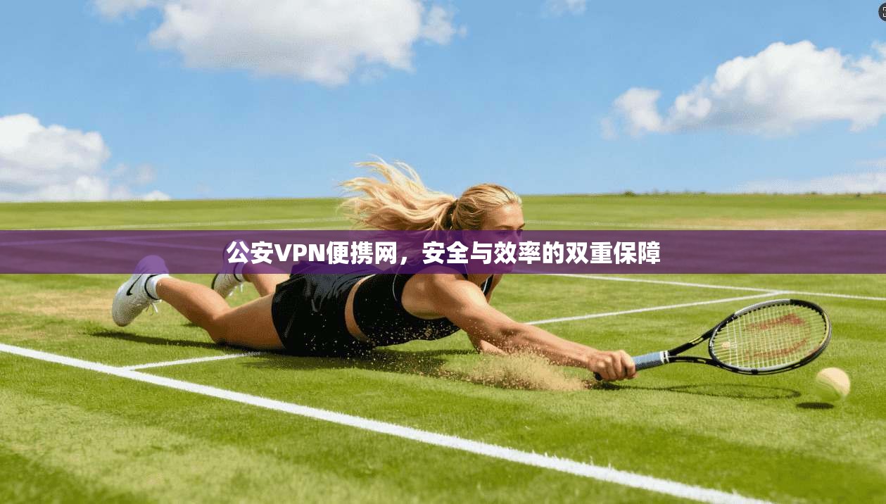 公安VPN便携网，安全与效率的双重保障