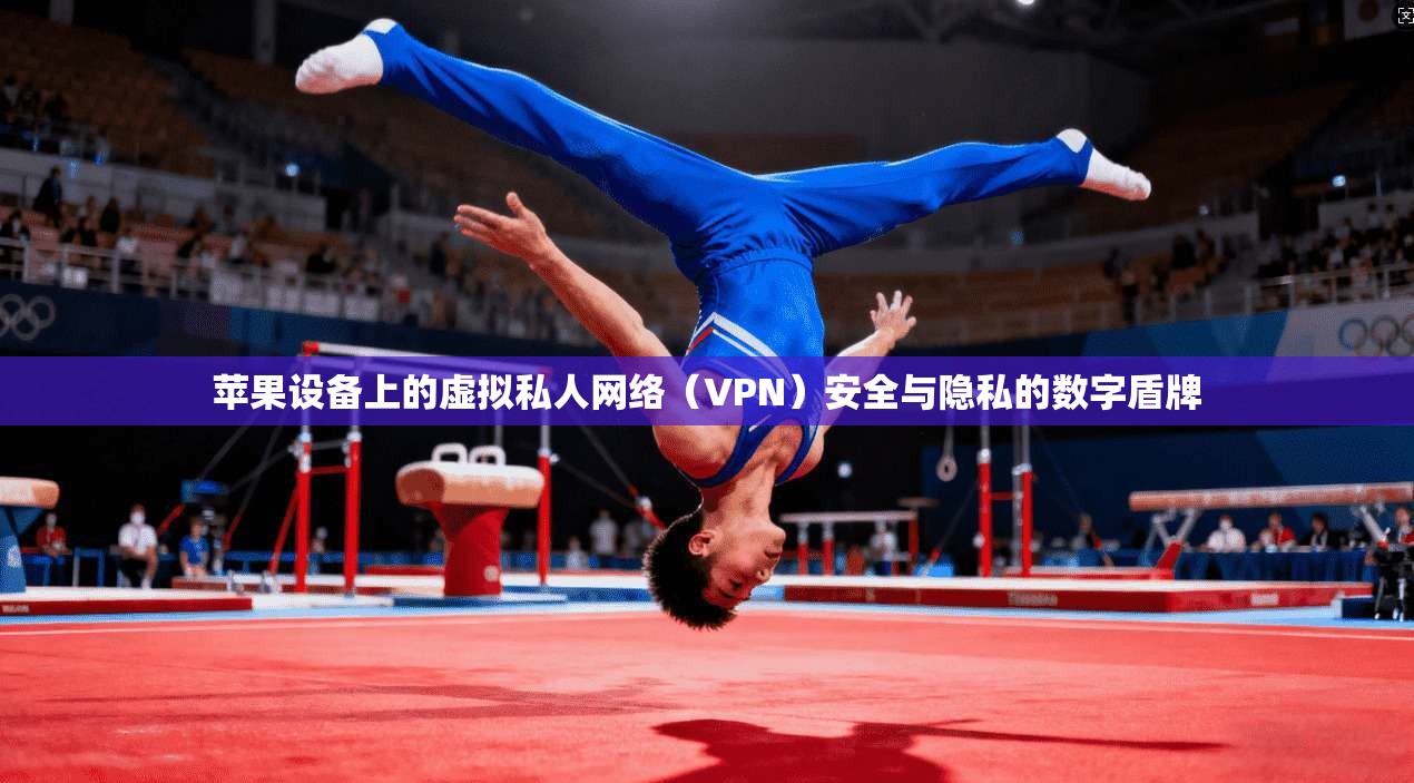 苹果设备上的虚拟私人网络（VPN）安全与隐私的数字盾牌
