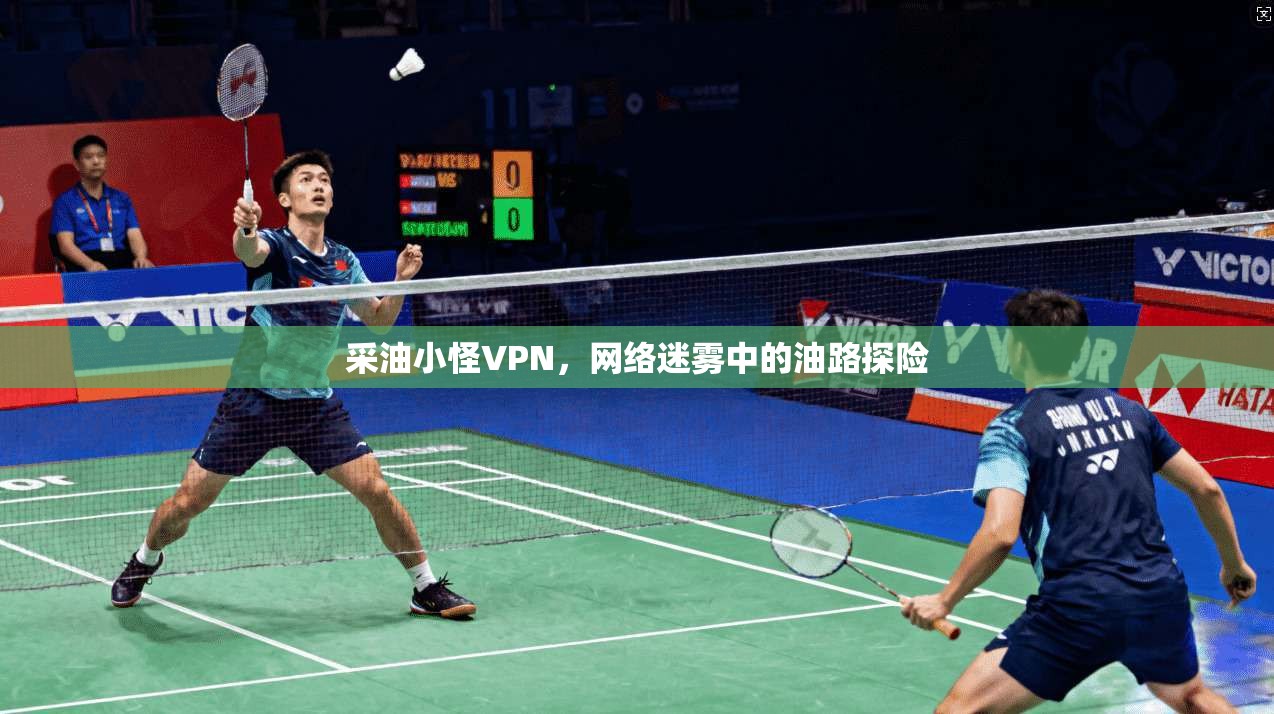 采油小怪VPN，网络迷雾中的油路探险