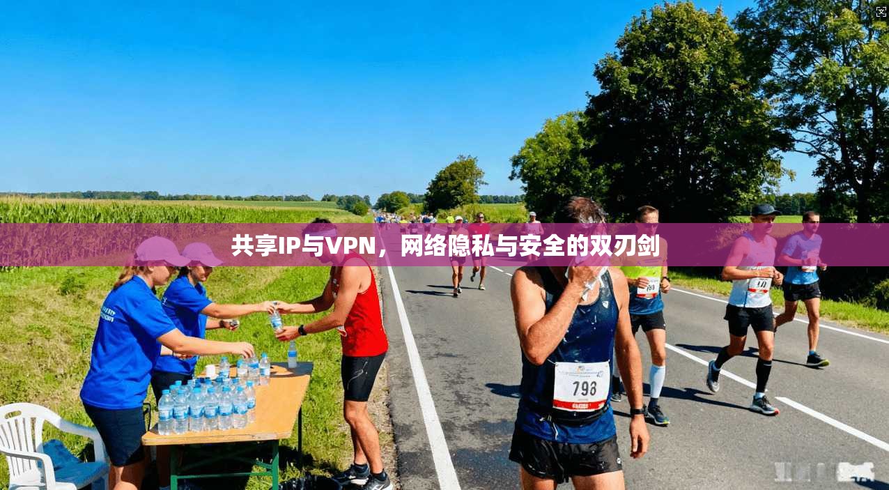 共享IP与VPN，网络隐私与安全的双刃剑