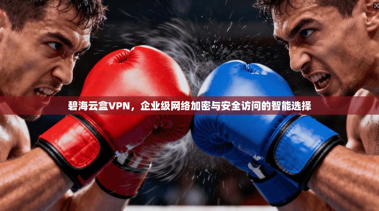 碧海云盒VPN，企业级网络加密与安全访问的智能选择