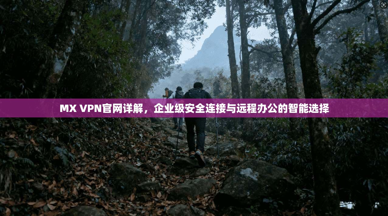 MX VPN官网详解，企业级安全连接与远程办公的智能选择