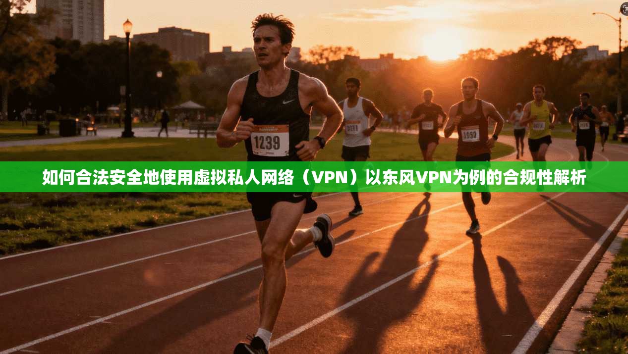 如何合法安全地使用虚拟私人网络（VPN）以东风VPN为例的合规性解析