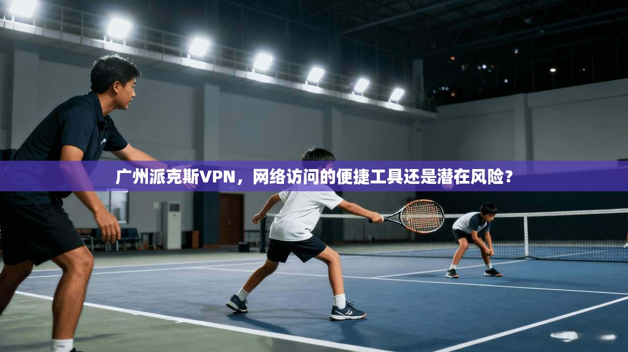 广州派克斯VPN，网络访问的便捷工具还是潜在风险？