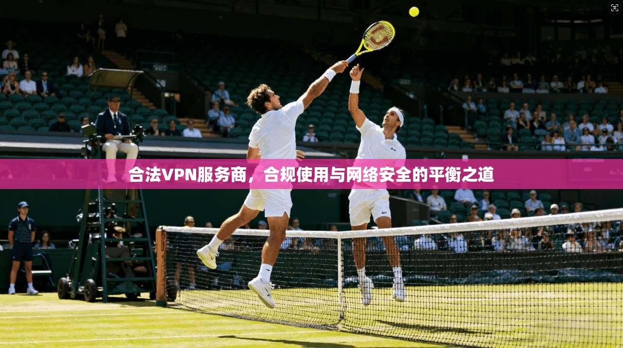 合法VPN服务商，合规使用与网络安全的平衡之道