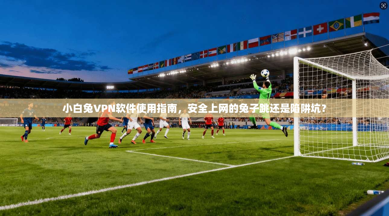 小白兔VPN软件使用指南，安全上网的兔子跳还是陷阱坑？