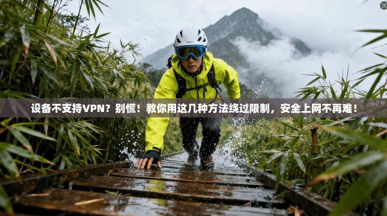 设备不支持VPN?别慌!教你用这几种方法绕过限制,安全上网不再难!