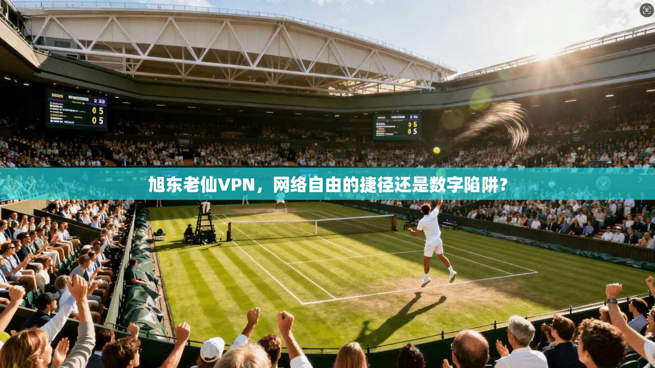旭东老仙VPN，网络自由的捷径还是数字陷阱？