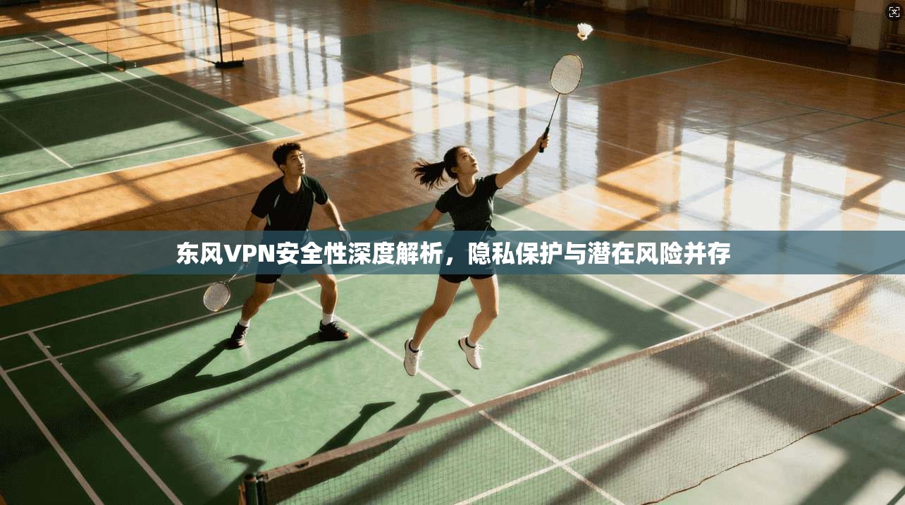 东风VPN安全性深度解析，隐私保护与潜在风险并存