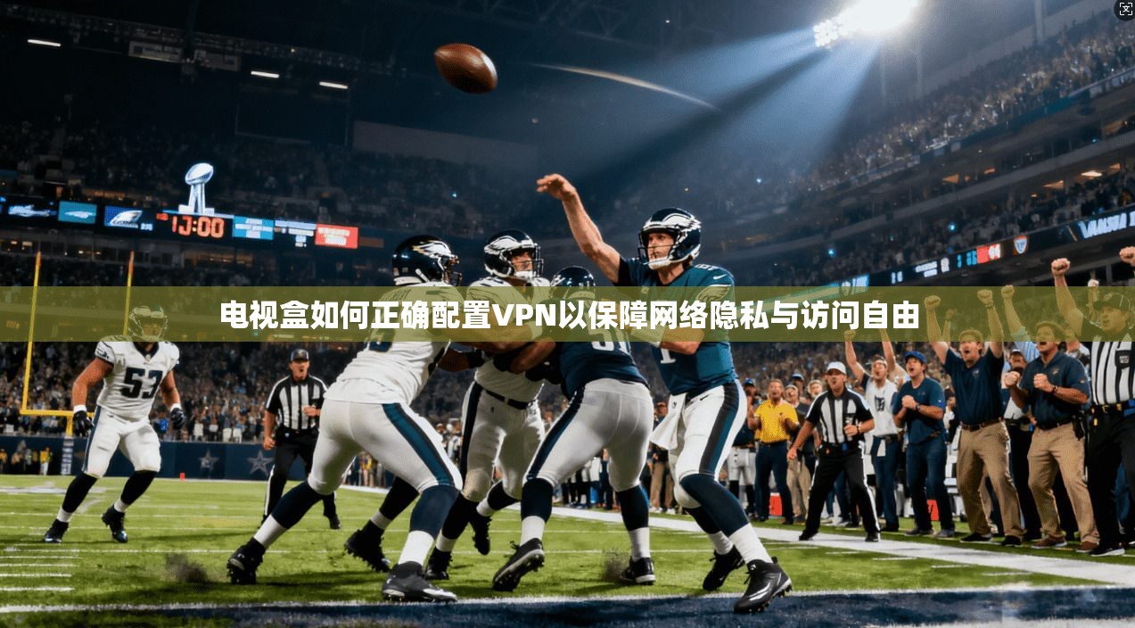 电视盒如何正确配置VPN以保障网络隐私与访问自由