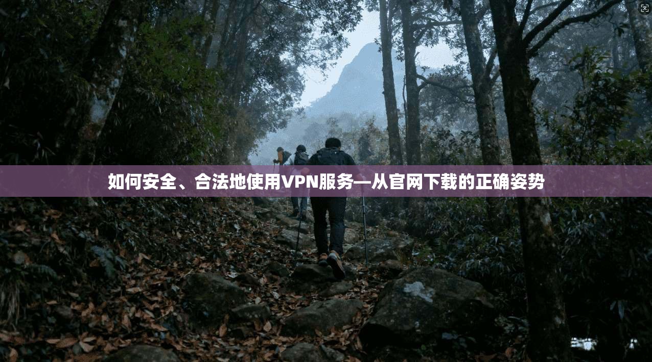 如何安全、合法地使用VPN服务—从官网下载的正确姿势