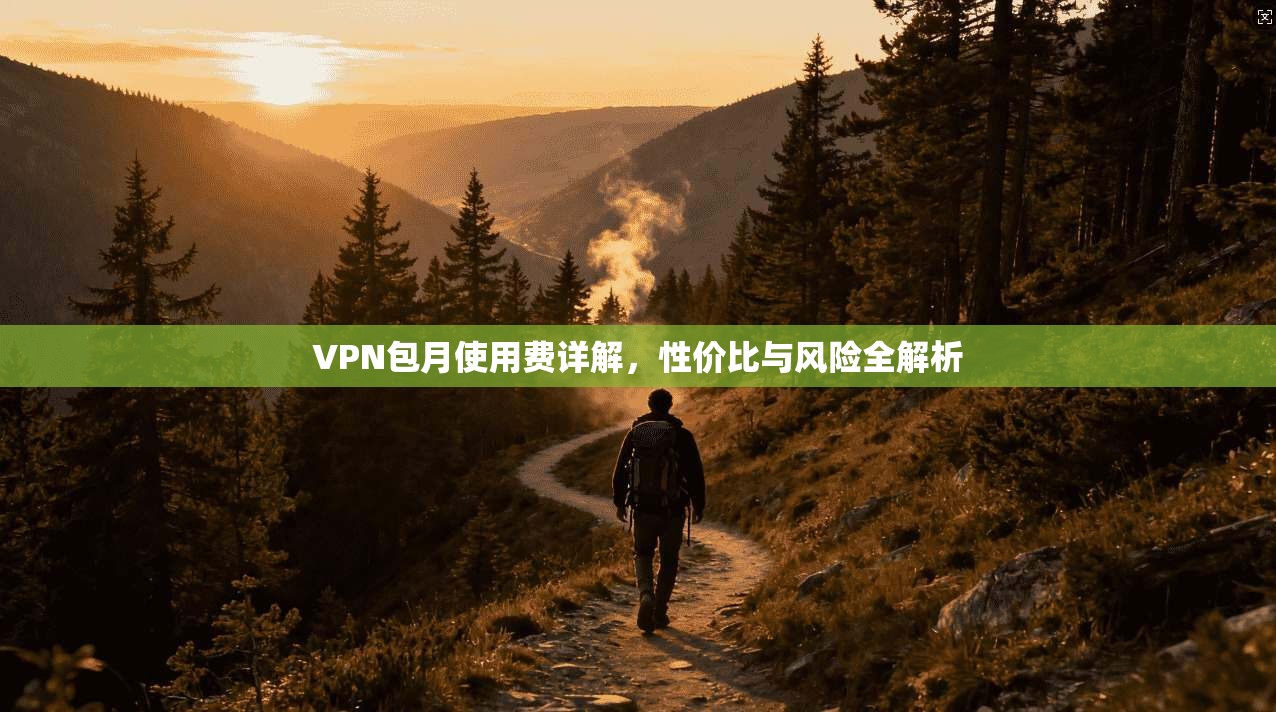 VPN包月使用费详解，性价比与风险全解析