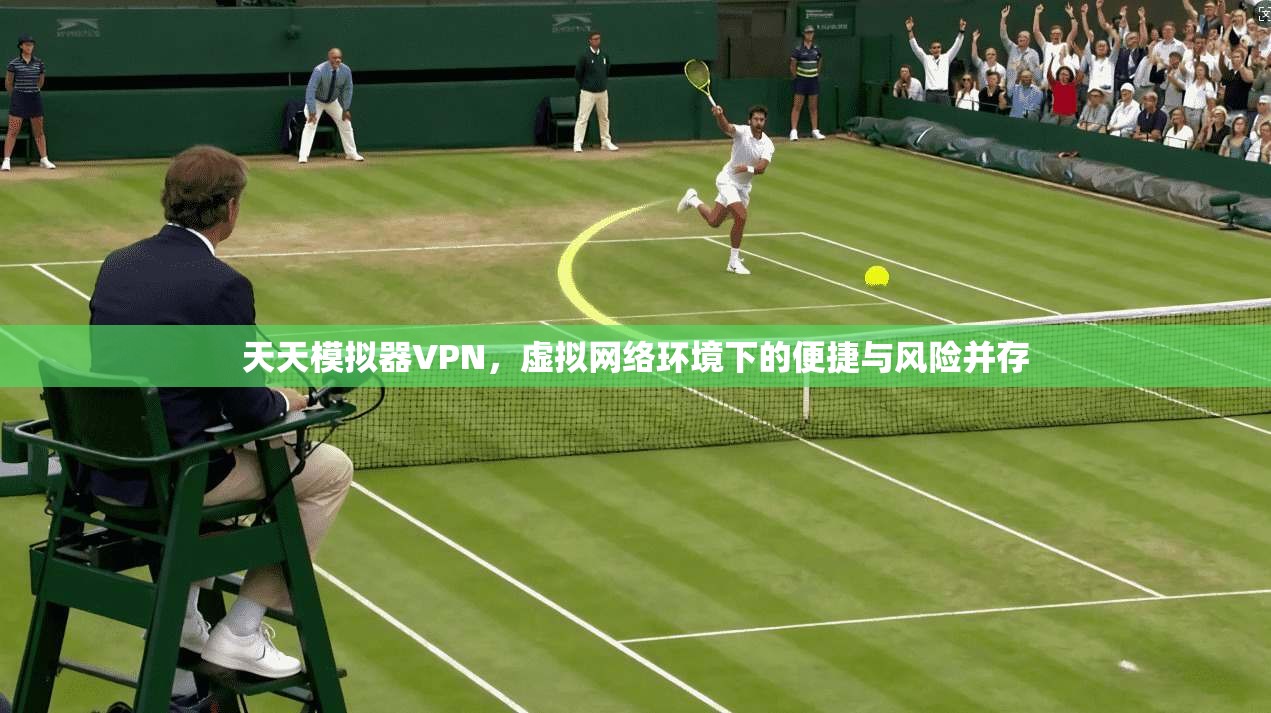 天天模拟器VPN，虚拟网络环境下的便捷与风险并存