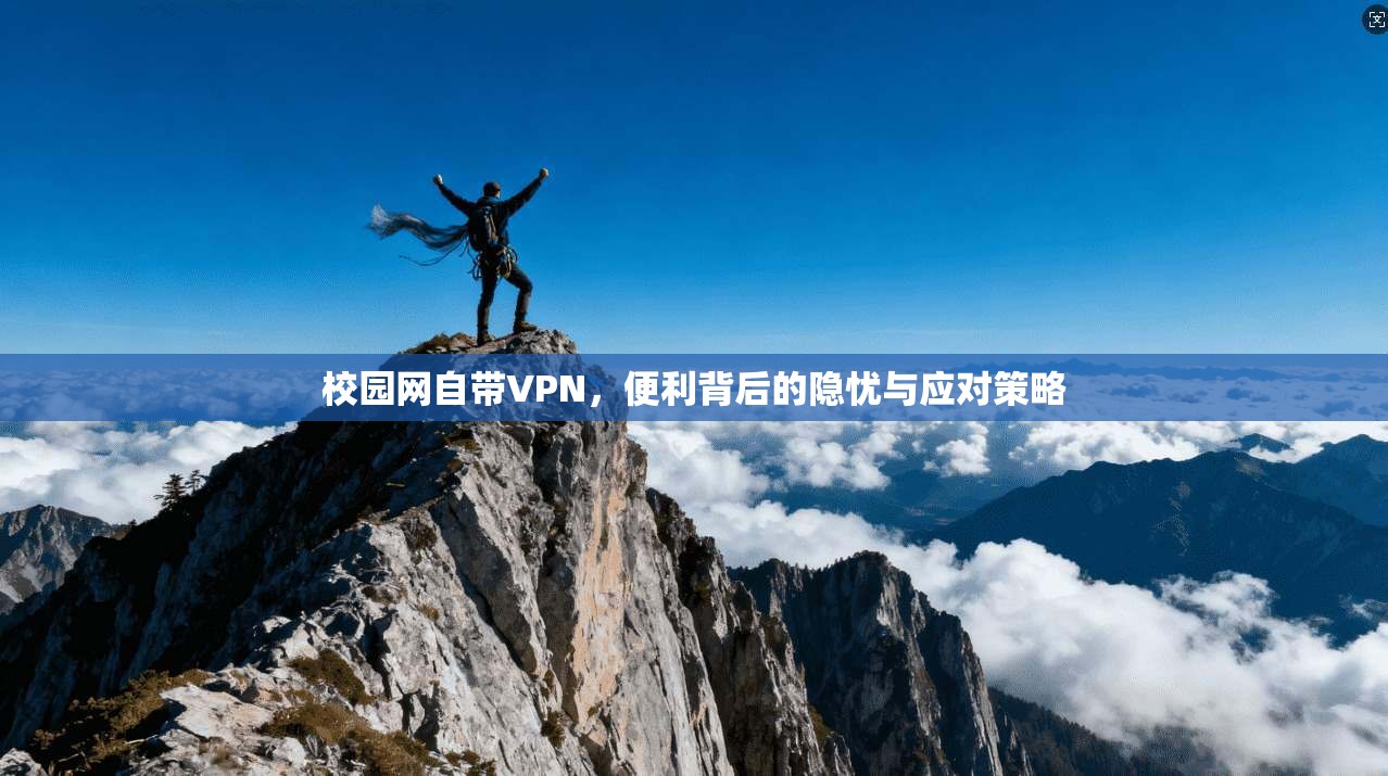 校园网自带VPN，便利背后的隐忧与应对策略