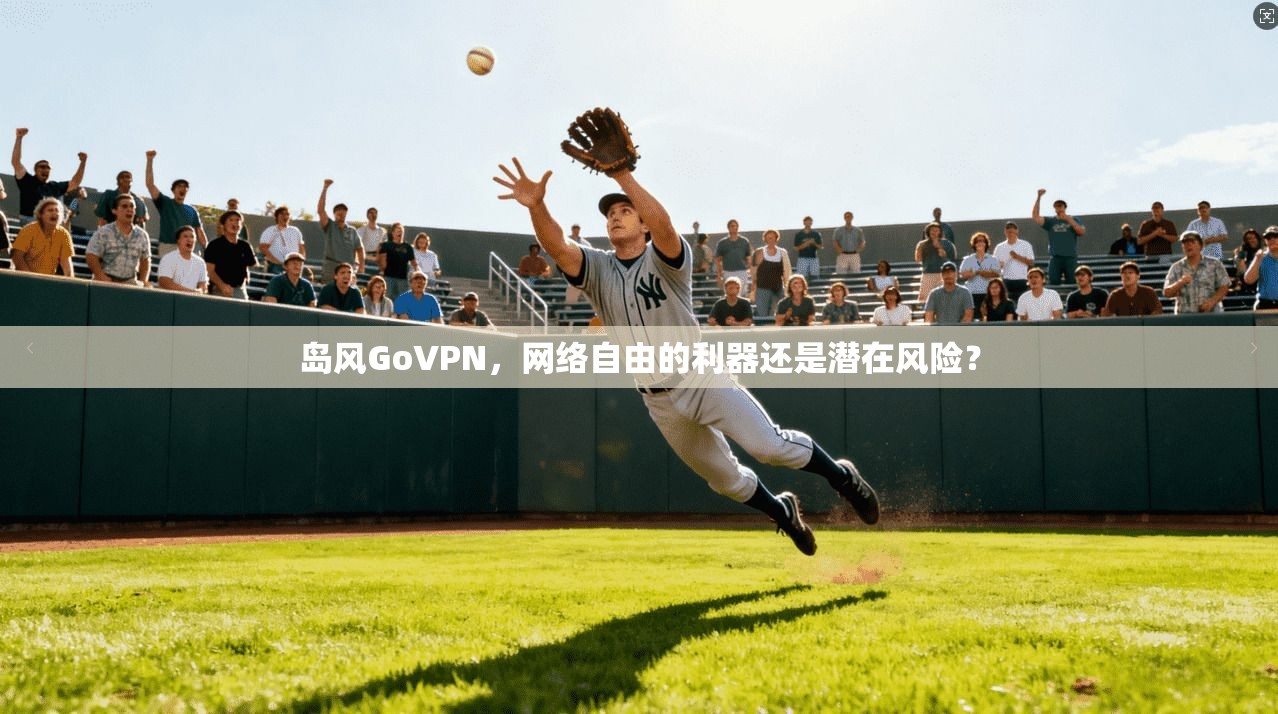 岛风GoVPN，网络自由的利器还是潜在风险？
