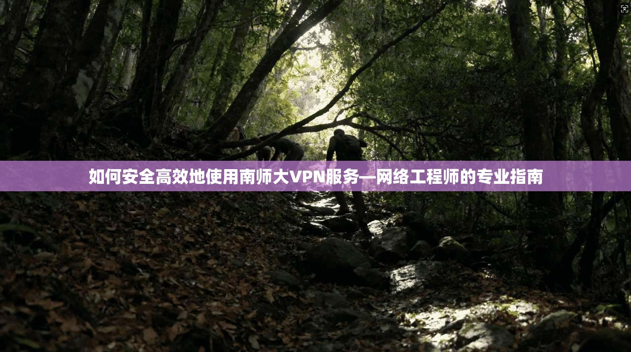 如何安全高效地使用南师大VPN服务—网络工程师的专业指南