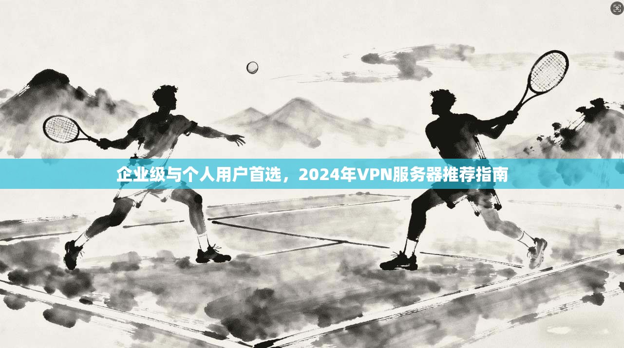 企业级与个人用户首选,2024年VPN服务器推荐指南