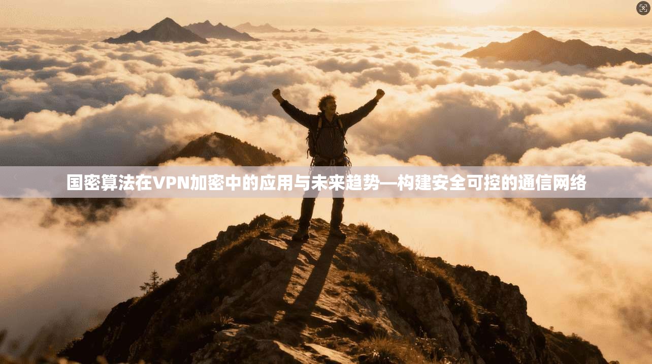 国密算法在VPN加密中的应用与未来趋势—构建安全可控的通信网络