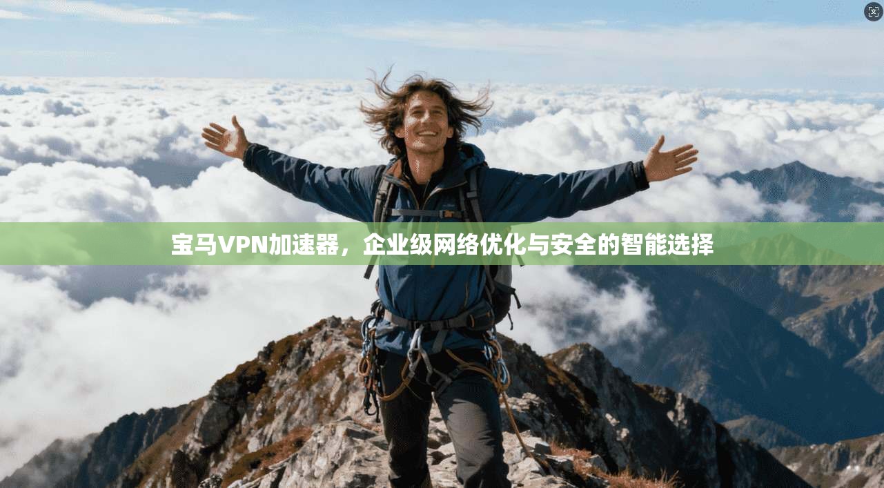 宝马VPN加速器，企业级网络优化与安全的智能选择