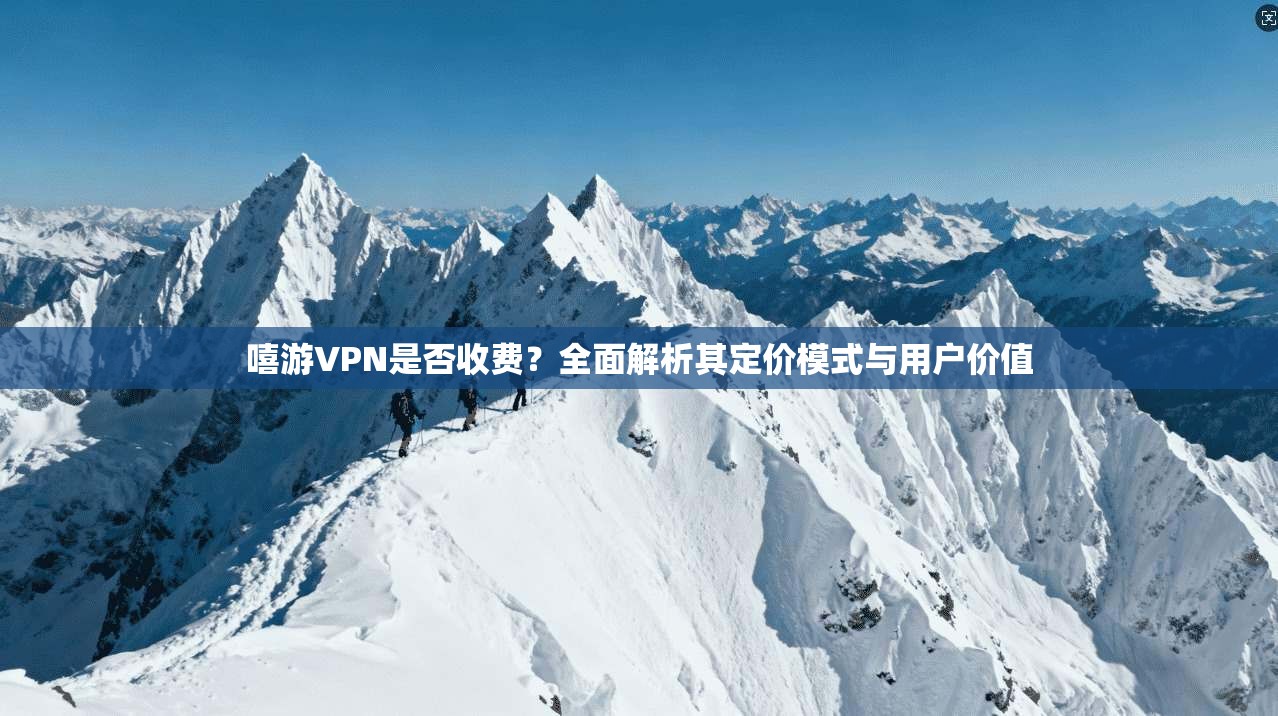 嘻游VPN是否收费？全面解析其定价模式与用户价值