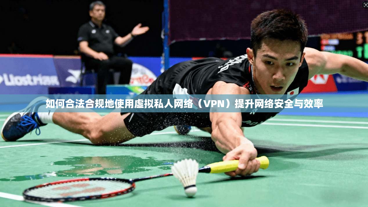 如何合法合规地使用虚拟私人网络（VPN）提升网络安全与效率
