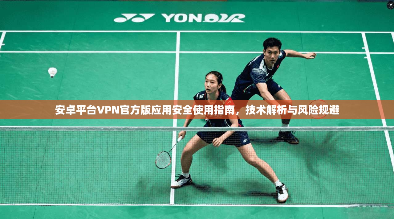 安卓平台VPN官方版应用安全使用指南，技术解析与风险规避