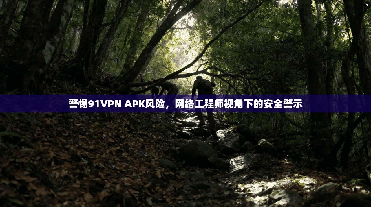 警惕91VPN APK风险，网络工程师视角下的安全警示