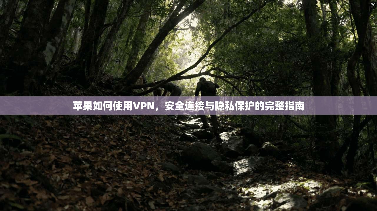 苹果如何使用VPN，安全连接与隐私保护的完整指南