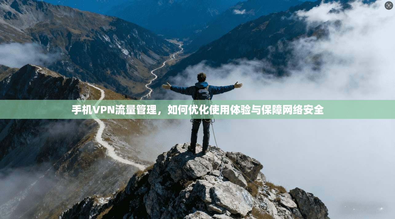 手机VPN流量管理，如何优化使用体验与保障网络安全