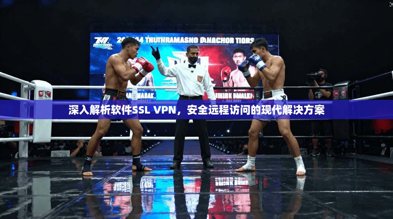 深入解析软件SSL VPN，安全远程访问的现代解决方案