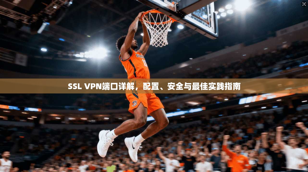 SSL VPN端口详解，配置、安全与最佳实践指南