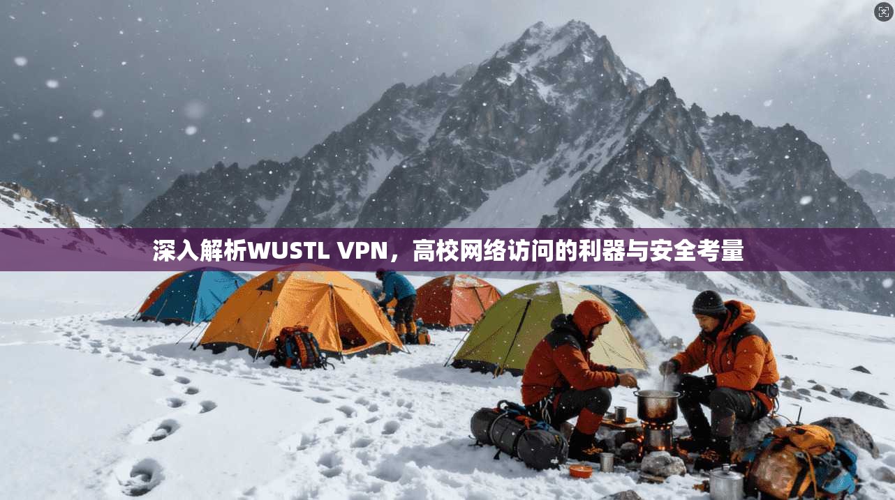 深入解析WUSTL VPN，高校网络访问的利器与安全考量