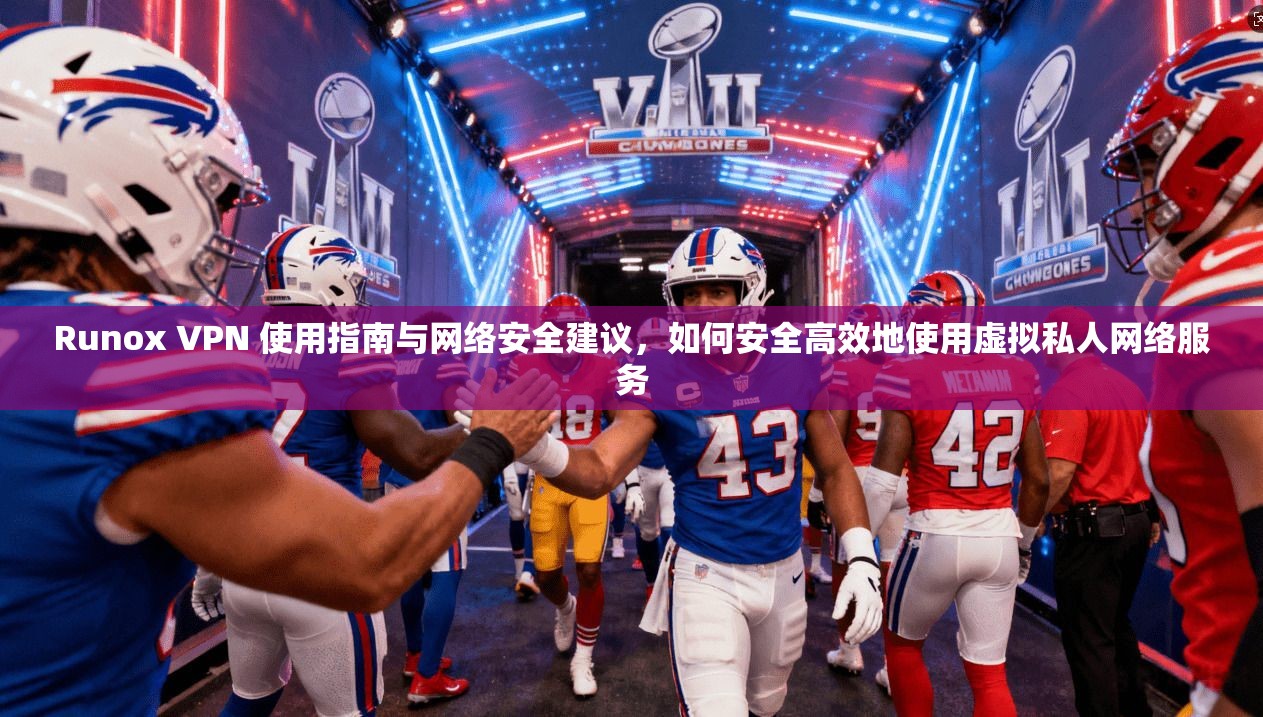 Runox VPN 使用指南与网络安全建议，如何安全高效地使用虚拟私人网络服务