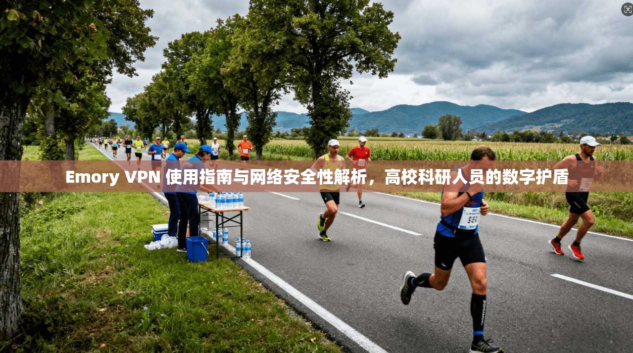 Emory VPN 使用指南与网络安全性解析，高校科研人员的数字护盾