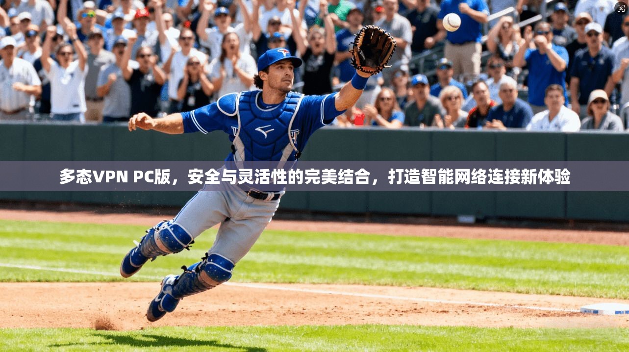 多态VPN PC版，安全与灵活性的完美结合，打造智能网络连接新体验