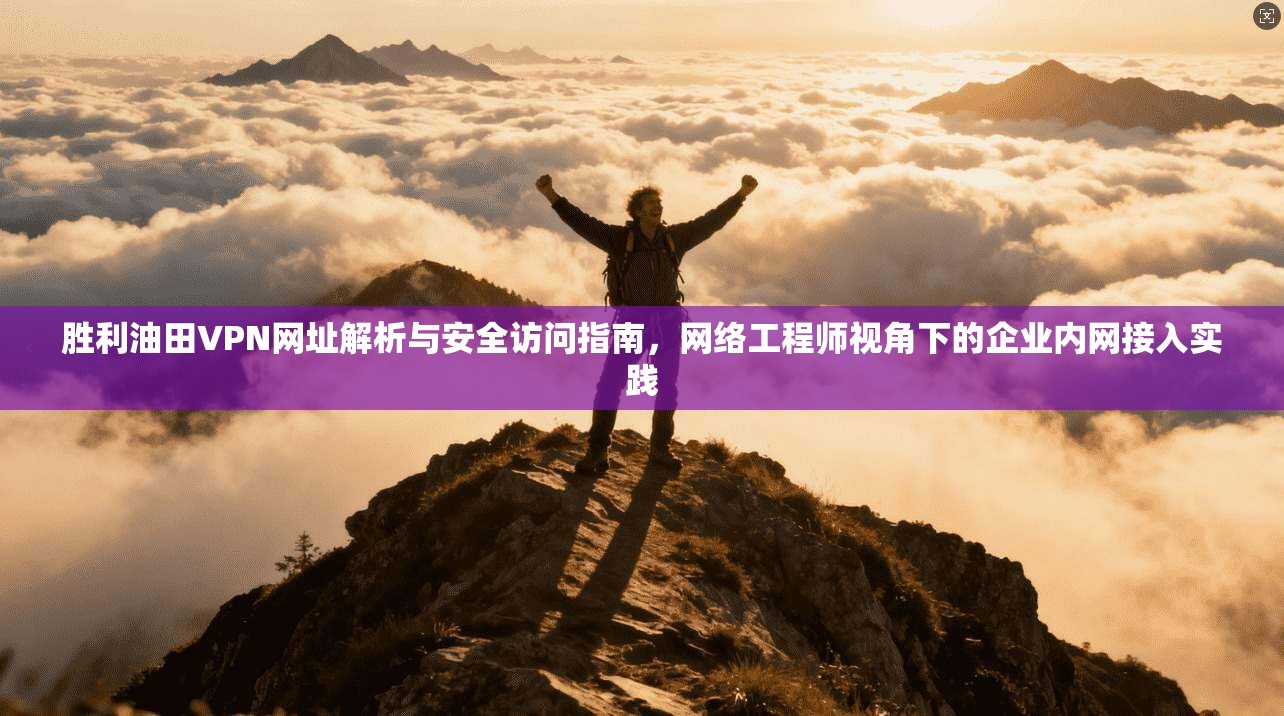 胜利油田VPN网址解析与安全访问指南，网络工程师视角下的企业内网接入实践