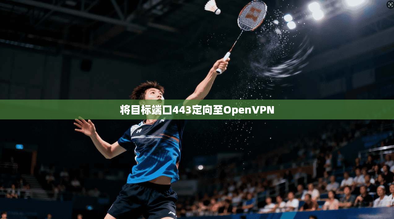 将目标端口443定向至OpenVPN